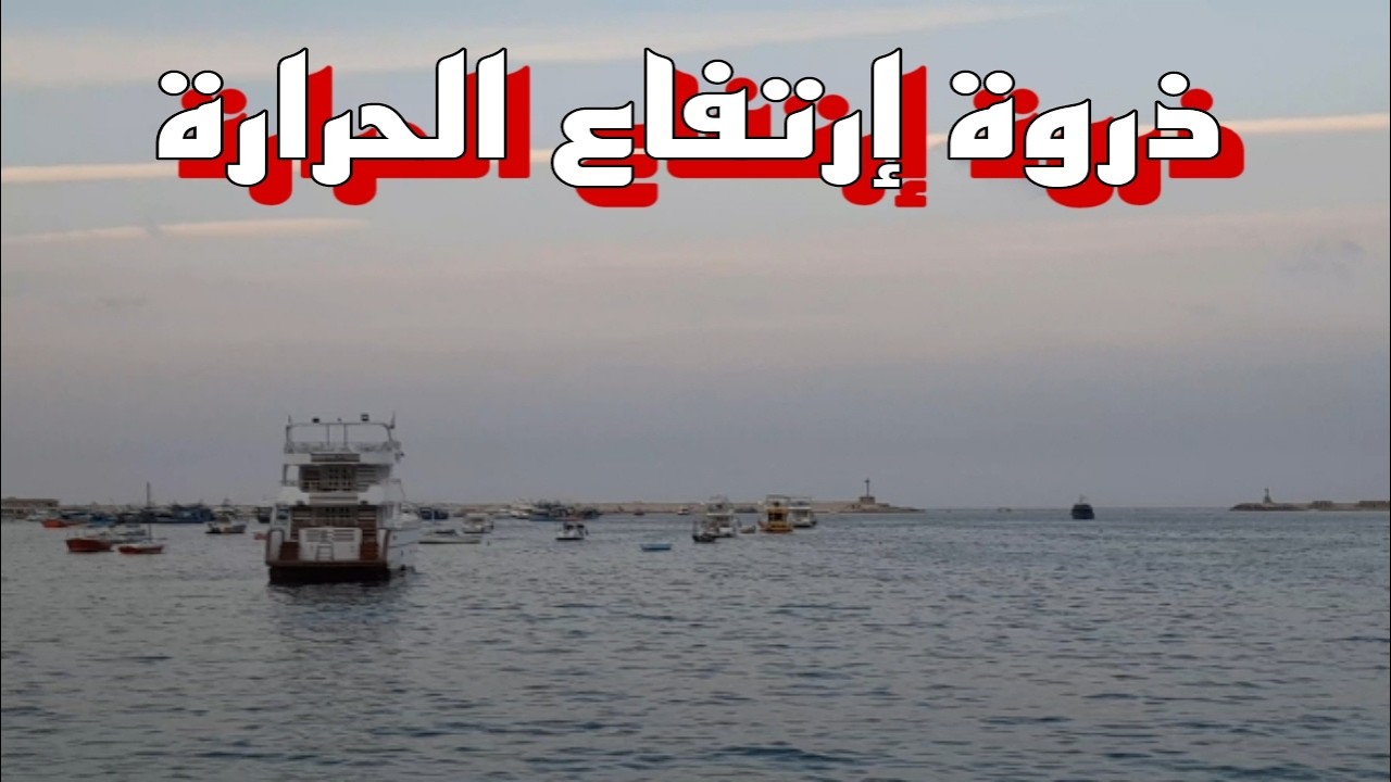 🔥 حرارة غير طبيعية في عز الشتاء.. الأرصاد تكشف موعد ذروة الارتفاع وتحذير مهم للمواطنين