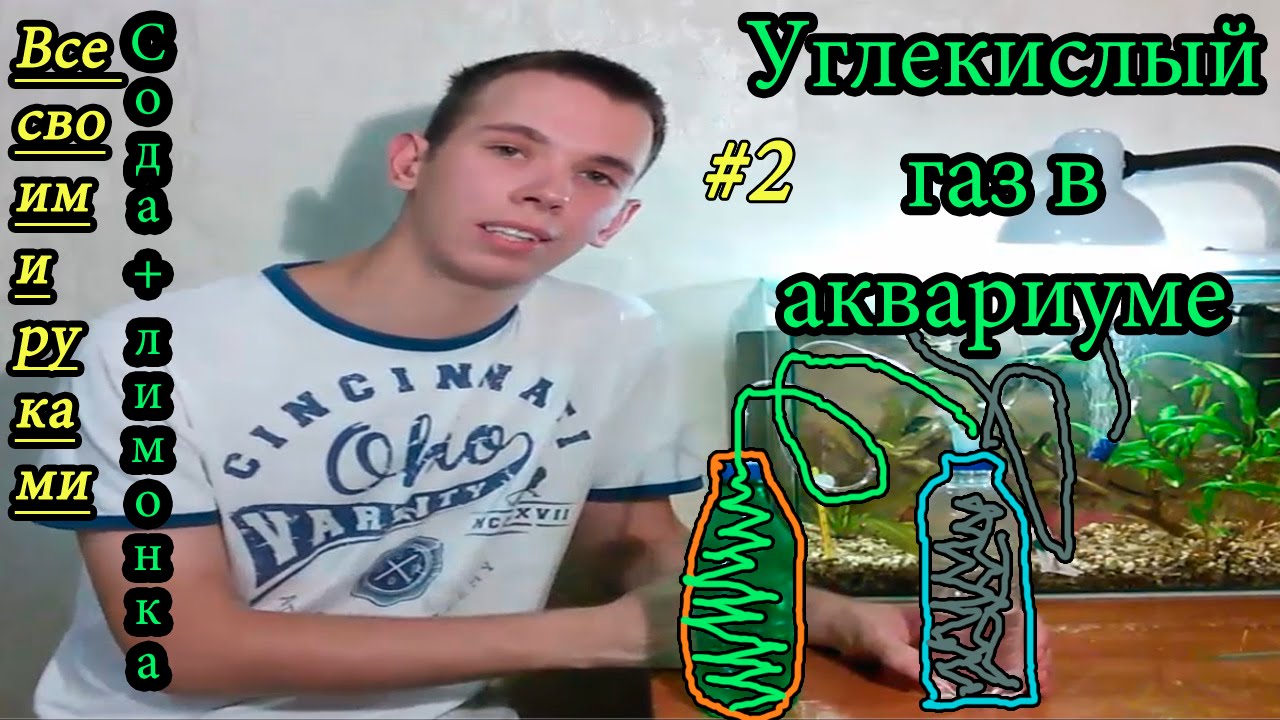 Углекислый газ в аквариуме ( самодельная система) в действии #2