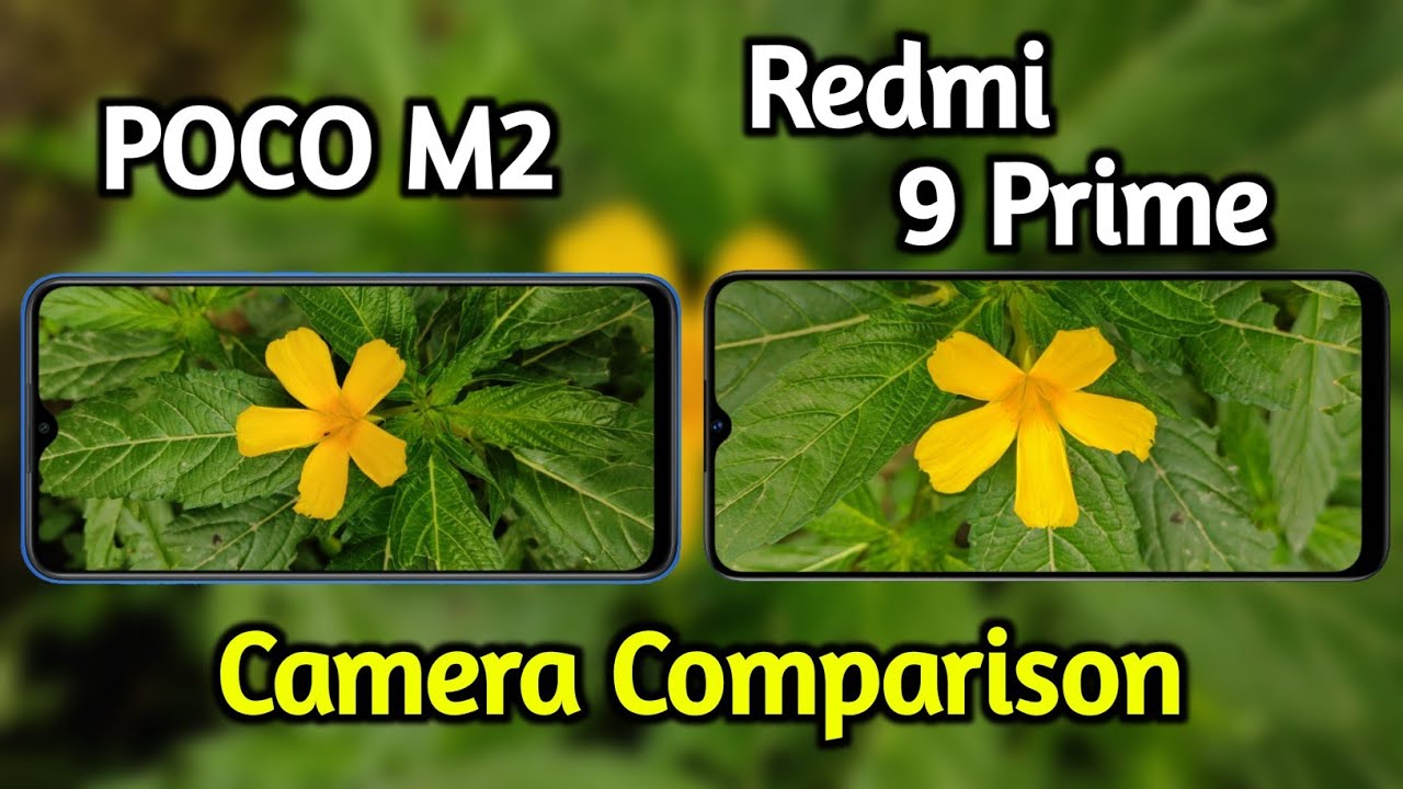 POCO M2 VS Redmi 9 Prime Camera Comparison