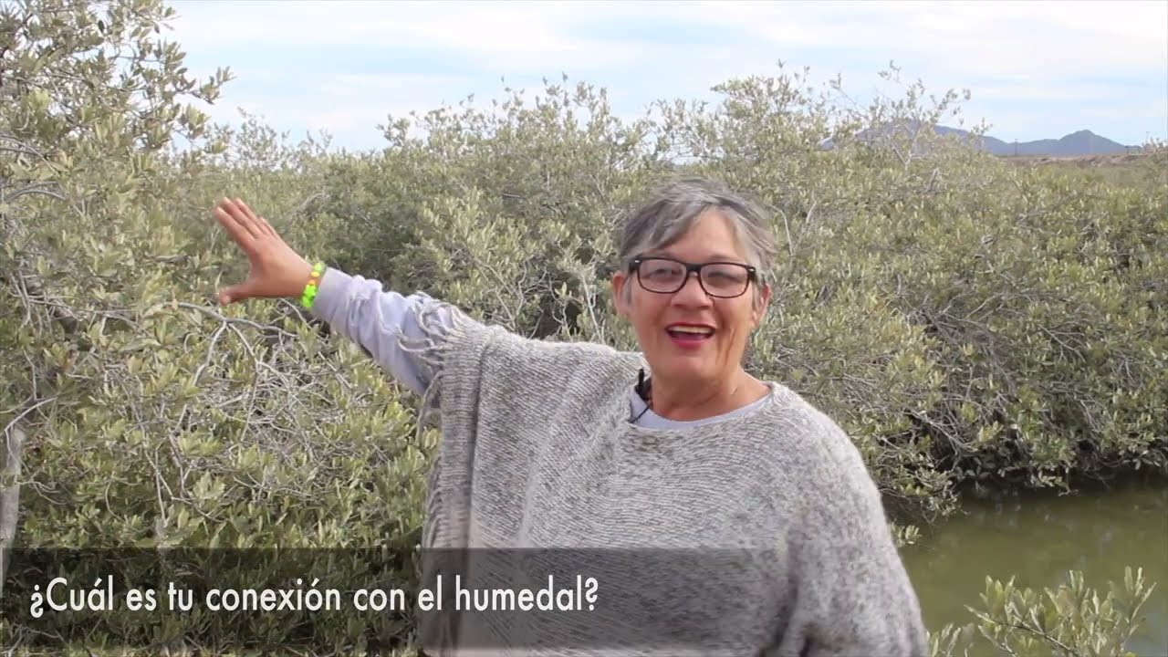 LagunaLaCruz InterviewsFinal