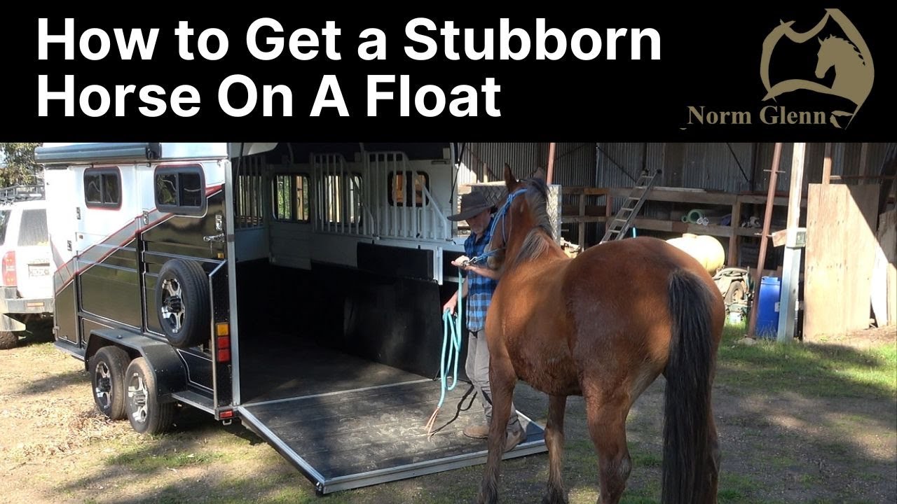 How To Load A horse On An Angle Float or Horse Float  - Timing Is Everything