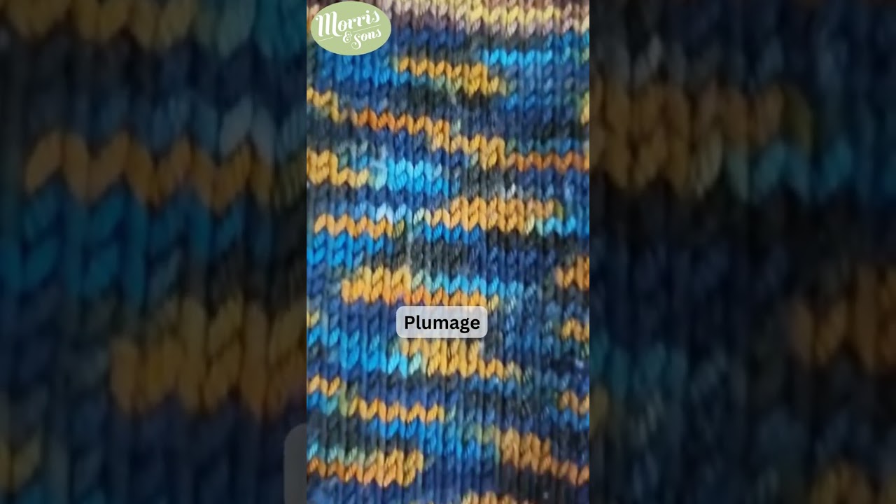 The Variegated Colours of Morris Empire Yarns #shorts