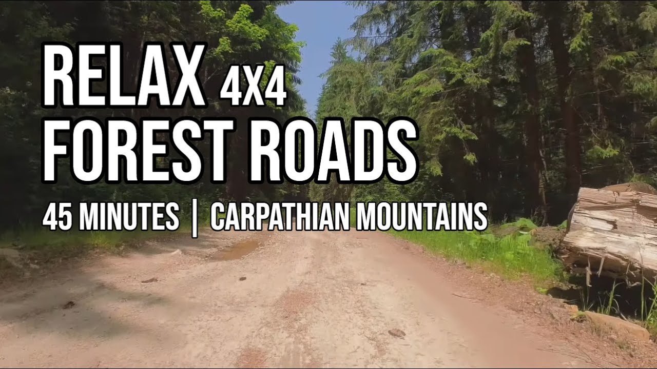 45 Minutes of Relaxing Off-Road Driving in the Carpathian Forests