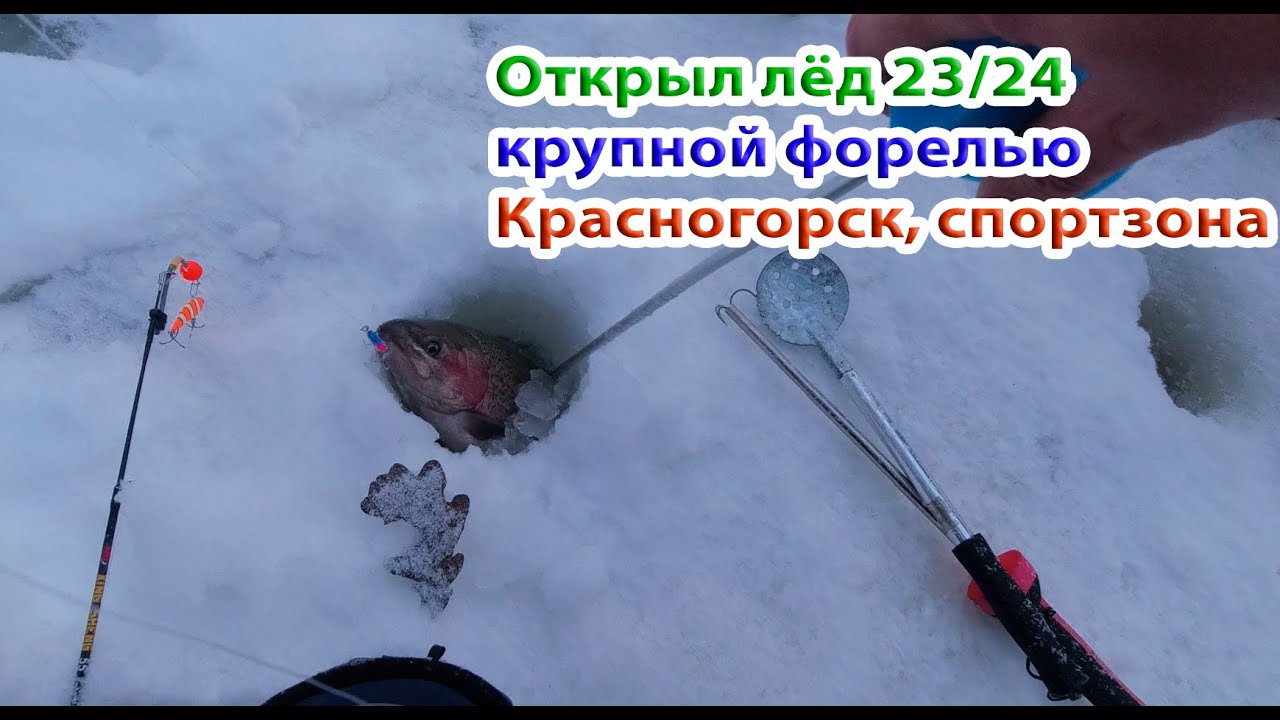 Открыл зимний сезон по форели в Красногорске. #ФорельКрасногорск