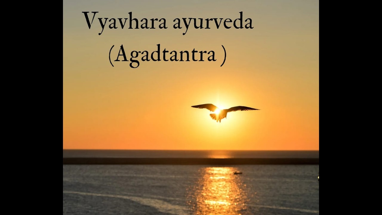 VYAVHARA AYURVEDA