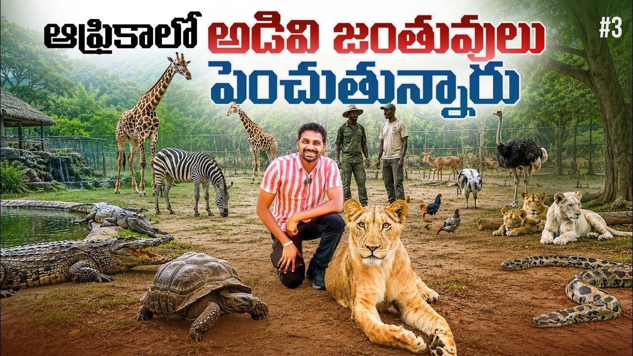 Животные Африки 🌍 В Зимбабве 🇿🇼 | Uma Telugu Traveller