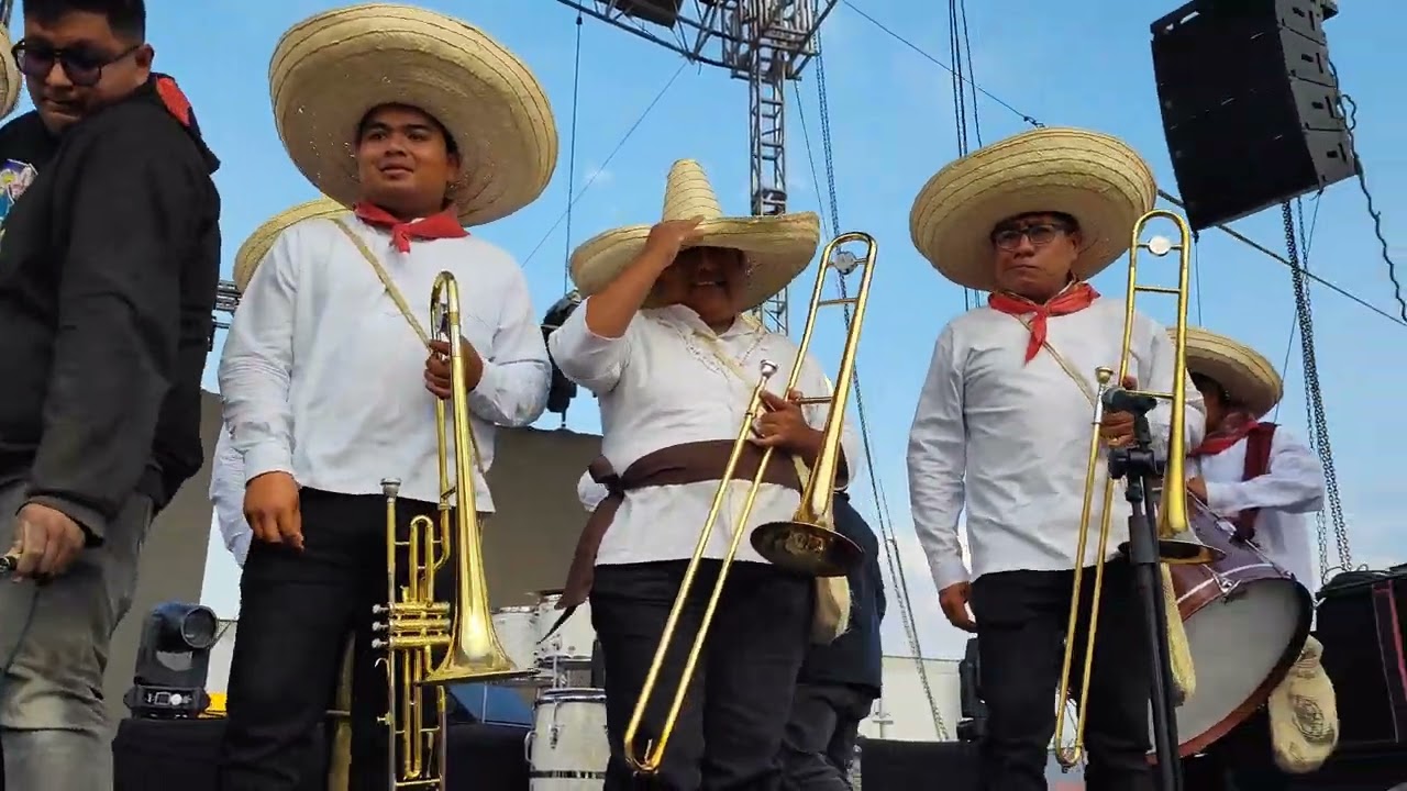 Chinelos, Gorila, Perro Carnavalero y el Caballo con la Brígido Santamaría Temixco 2026