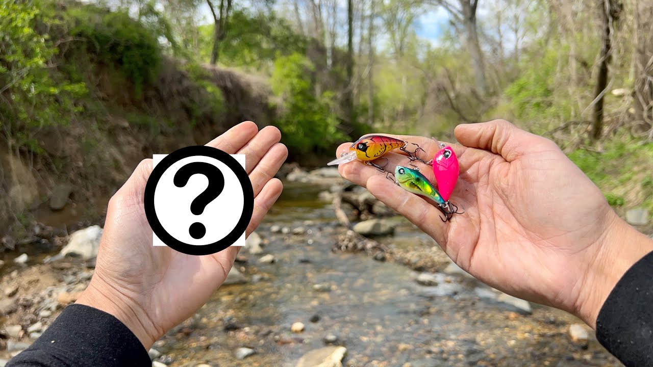 GOOGAN против САМОЙ НАДЕЖНОЙ рыболовной приманки ВСЕХ ВРЕМЕН!!! (Creek Challenge)
