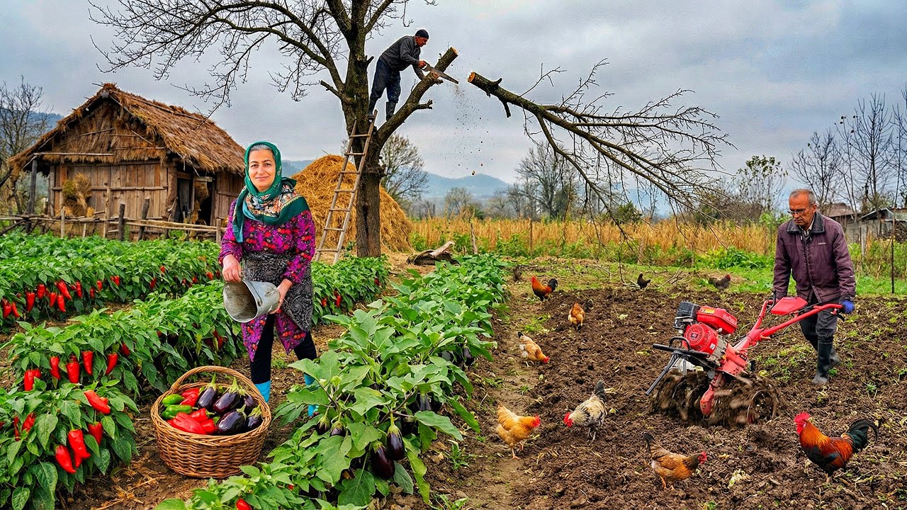 A Hidden Paradise in IRAN Village Life | Gardening &Final Harvest 🌿