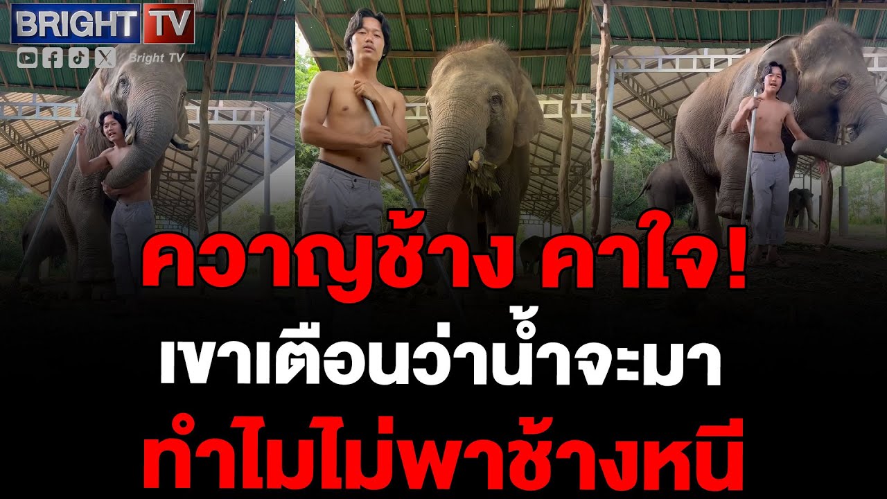 ควาญช้าง พ่อดัมโบ้ ถาม ทำไมไม่อพยพช้างก่อนน้ำท่วม ลั่นแรง! อยากให้สำนึกบ้าง