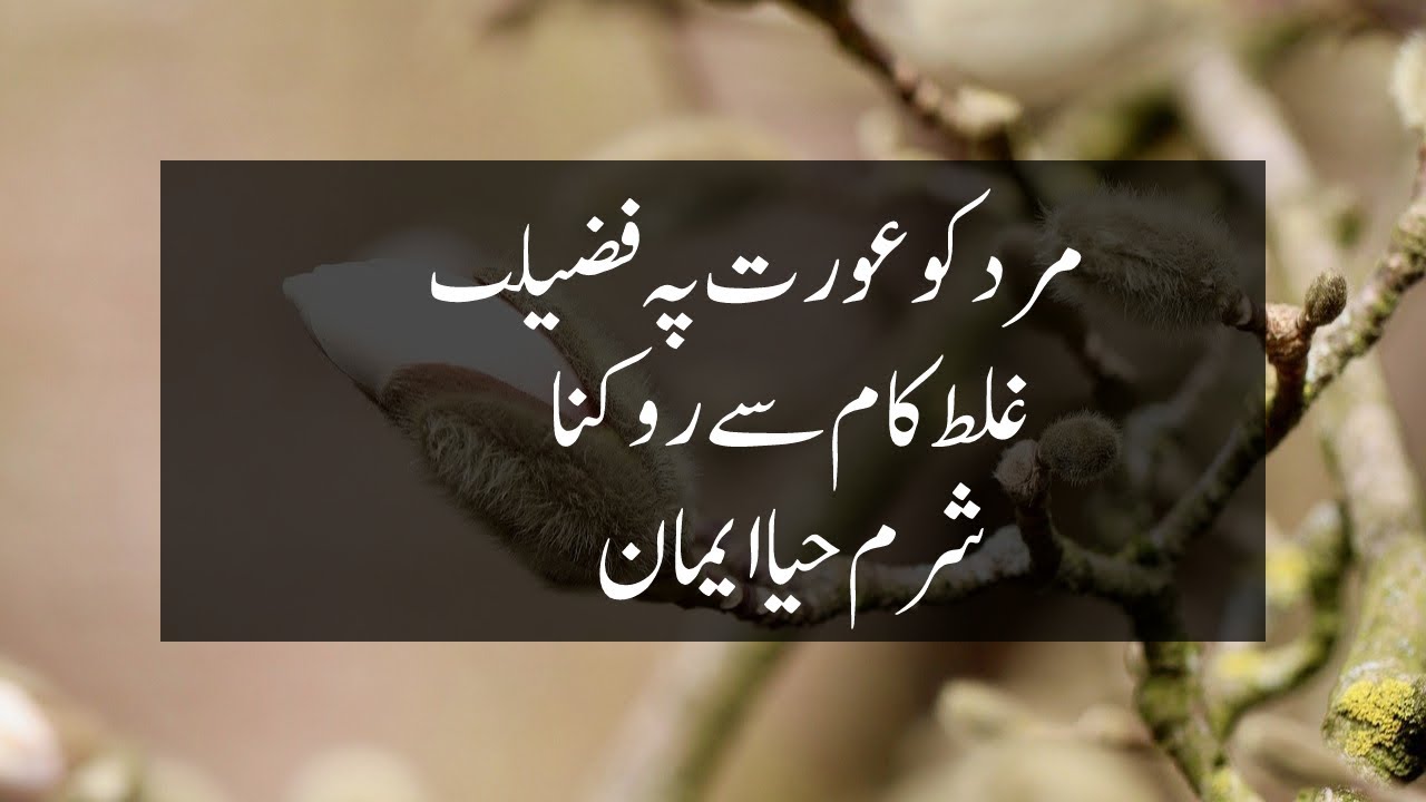 Idreesia Taleem||Mard Ko Aurat Pay Fazilat, Ghalat Kaam Say Rokna||