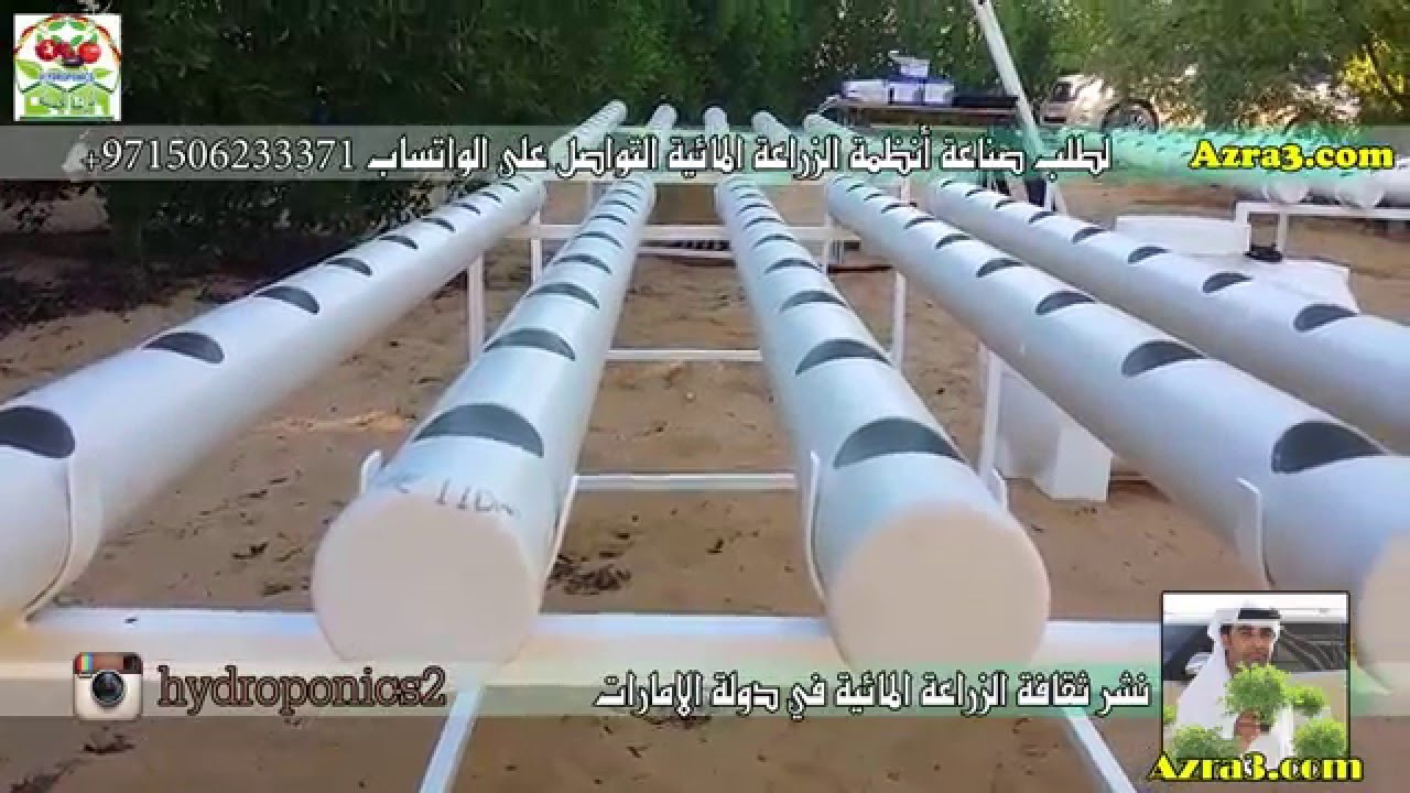 إطلاق نموذج جديد للزراعة المائية بالامارات