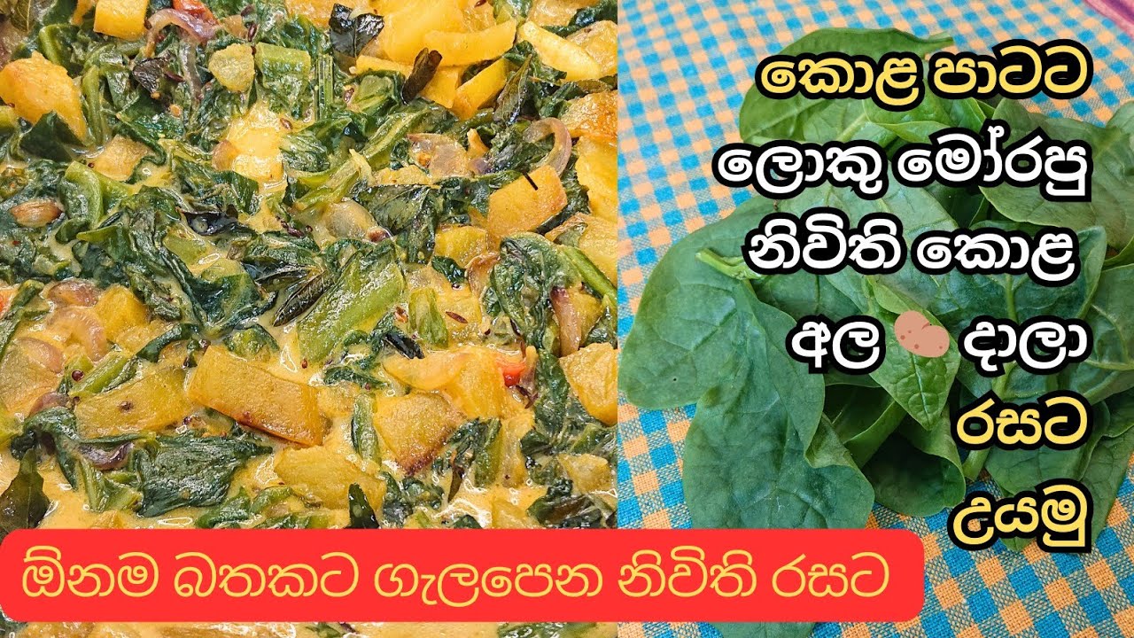 ✔️ නිවිති මාලුව | නිවිති Recipe | නිවිති වලින් කෑම | Nivithi Curry Sinhala | Nivithi Curry Recipe