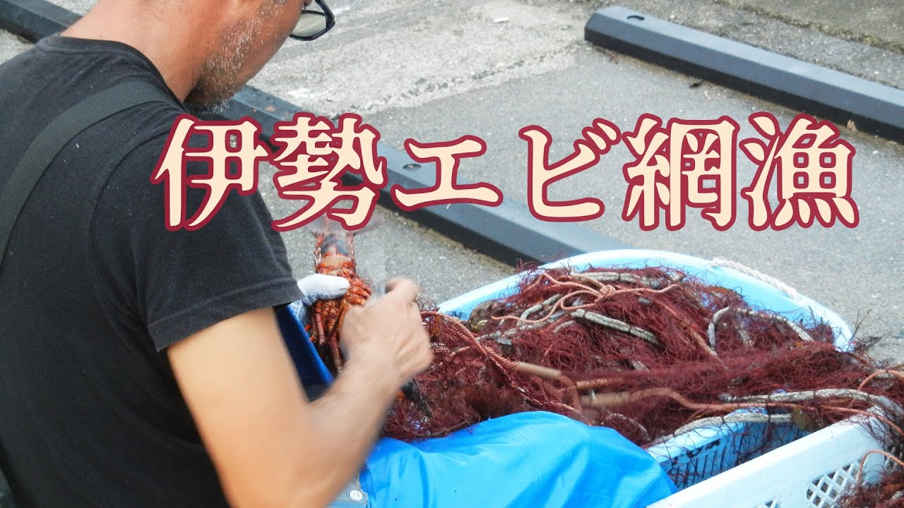 アサダ水産 伊勢エビ網漁