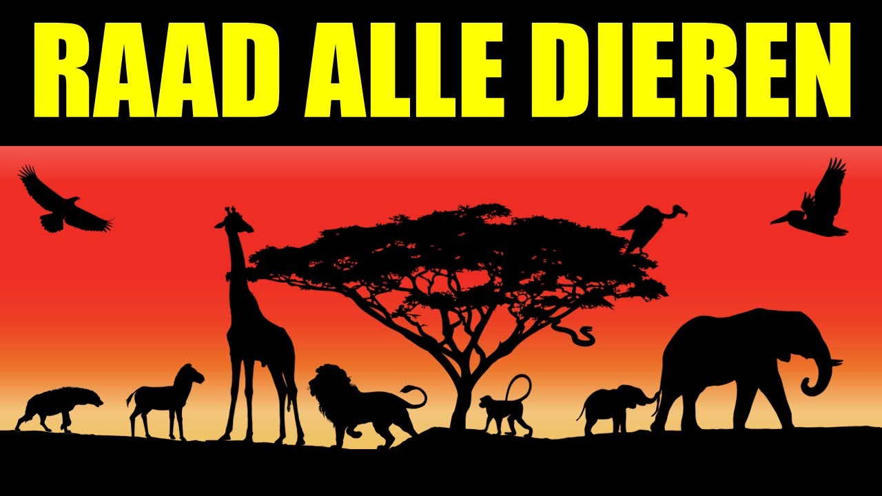 Hoe Goed Is Jouw Kennis Van het Dierenrijk!? | Raad De Dieren Quiz!