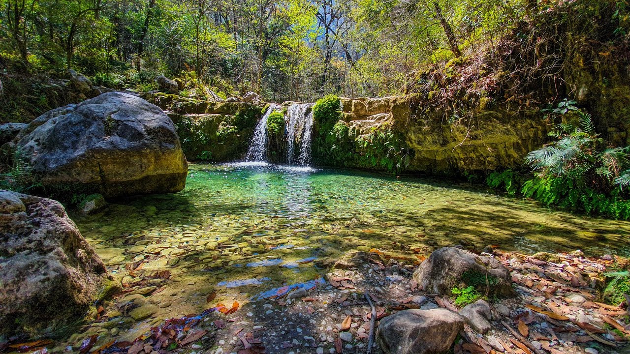Parque Natural La Estanzuela, Monterrey, N.L. | ¡Así llegas en Transporte Público!