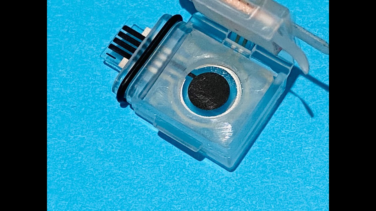 A Celebration of Prussian Blue from art to science