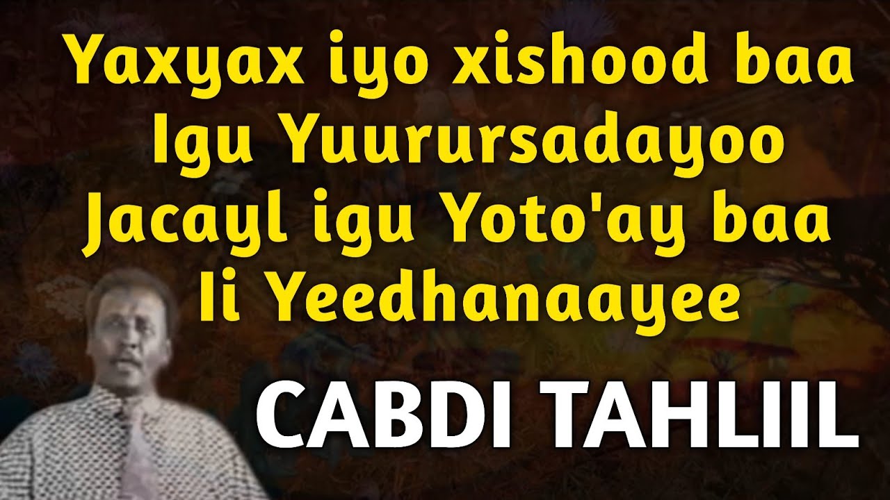 cabdi tahliil yax yax iyo xishood lyrics | yax yax iyo xishood cabdi tahliil | yax yax iyo xishood