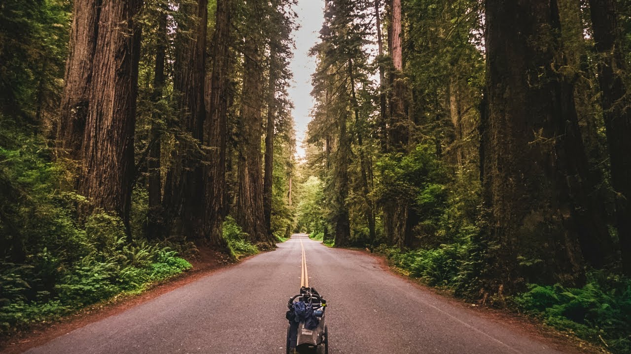 NEL PAESE DEI GIGANTI | CALIFORNIA VLOG 32