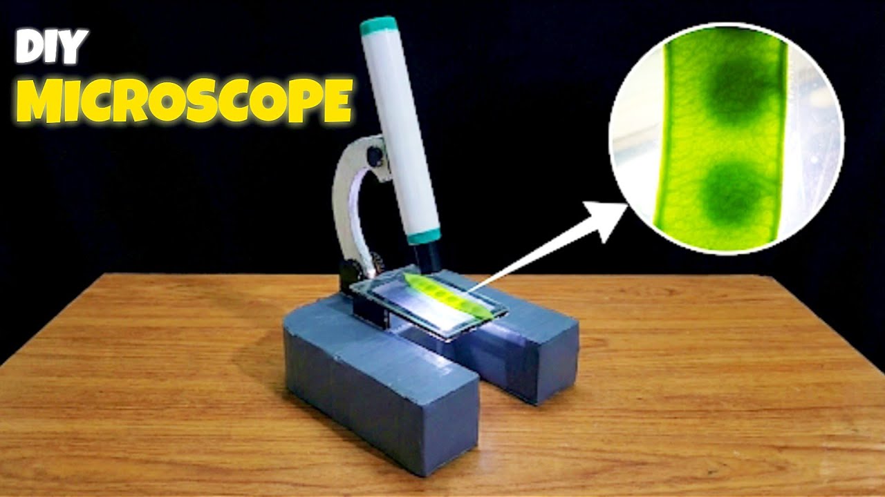 DIY Cardboard Microscope | Best School Science Project 2026