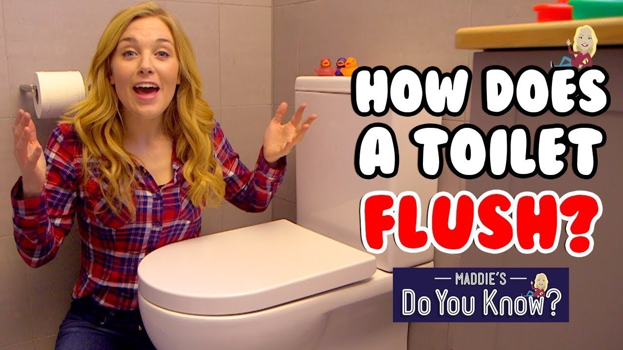 How does a Toilet Flush? 🚽Maddie's Do You Know? 👩