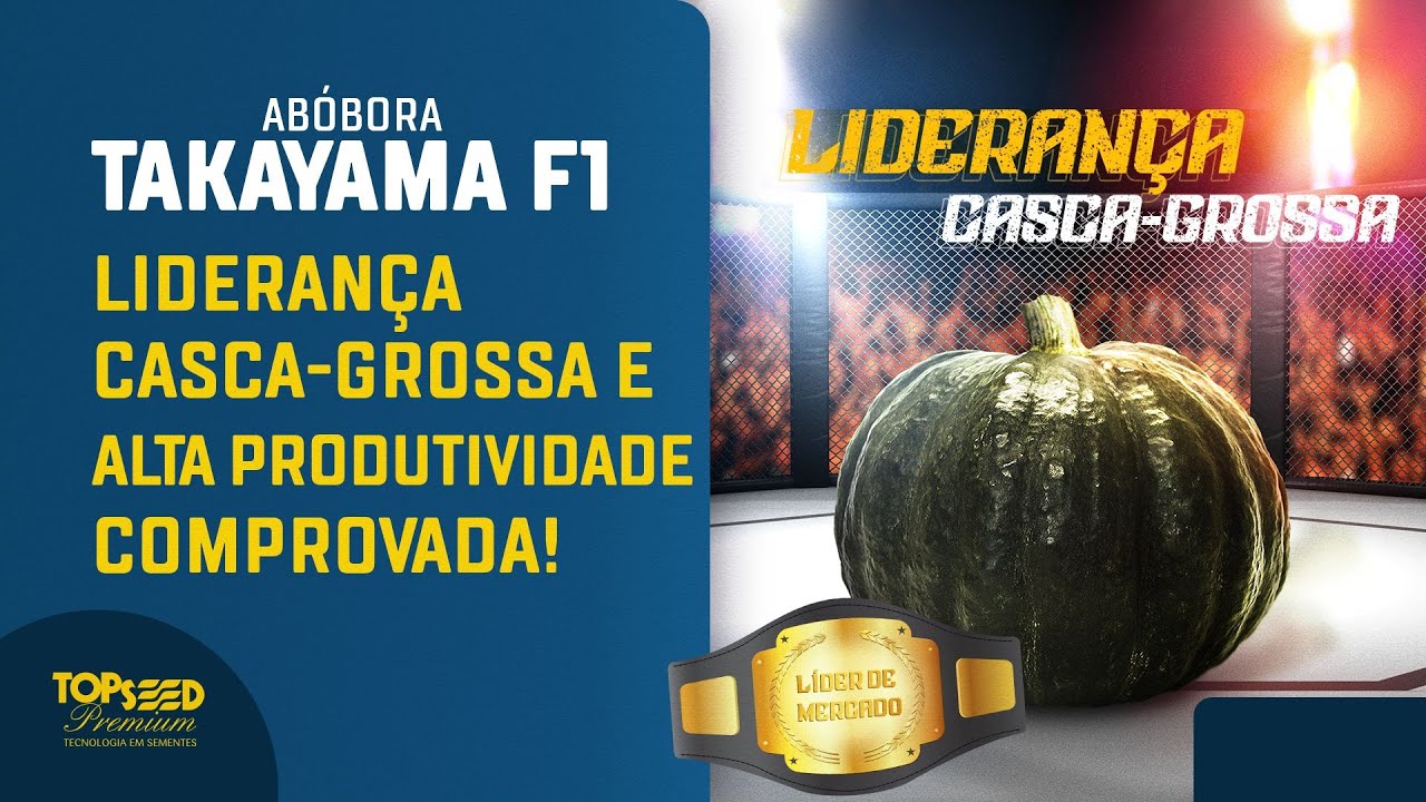 De produtor para produtor: Produtividade 40% maior com a Abóbora Takayama F1
