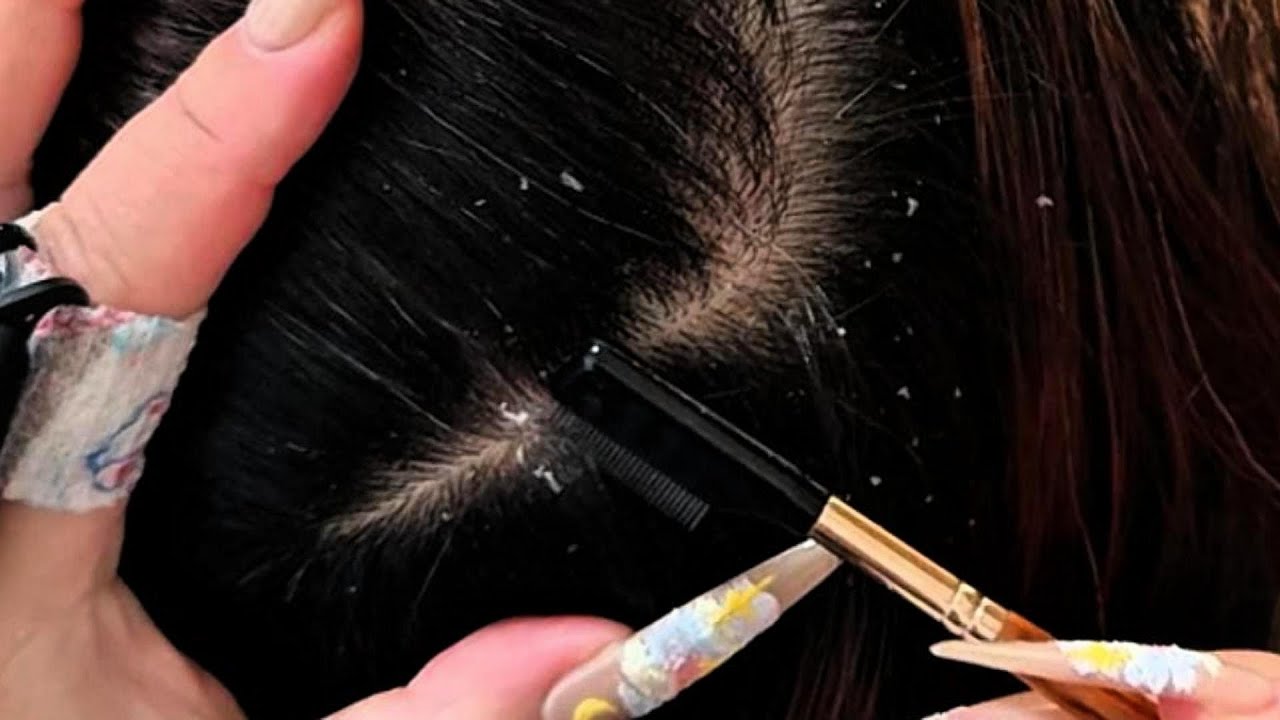 Latte’s ASMR Scalp Care — Soft Small-Comb Guidance for Quiet, Steady Calm | No Talking