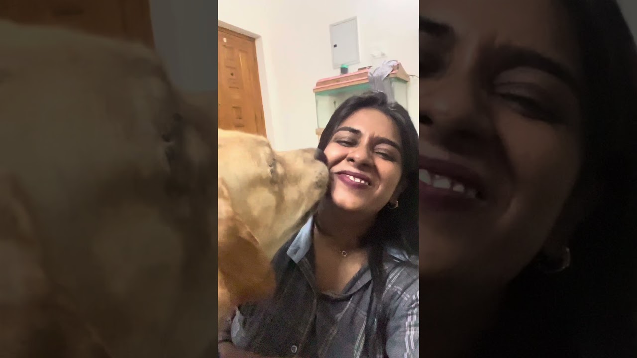 This Kiss Can fix Everything !🥹🤌🏻