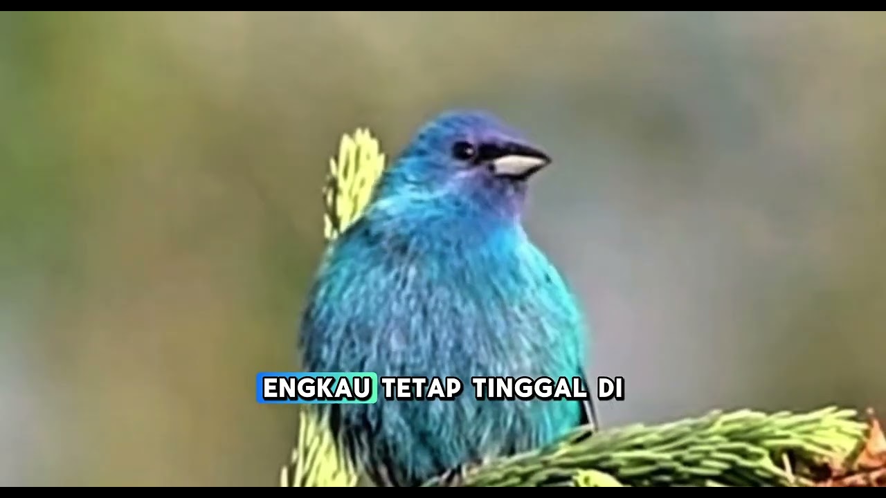 Kasih~Mu Tak Beranjak | Lagu Rohani Kristen Terbaru 2026