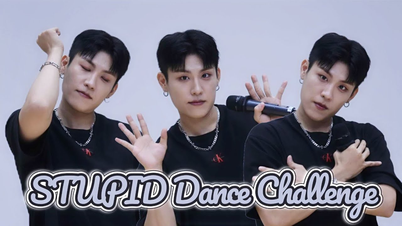 [비인로그 #17] 박춤의 STUPID 댄스 강좌 | 에비뉴 브이로그 | AB6IX 미니팬미팅 • 챌린지