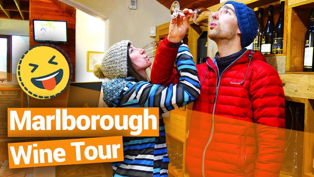 🍷🍇 Marlborough Wine Tour  - New Zealand's Biggest Gap Year – Backpacker Guide New Zealand