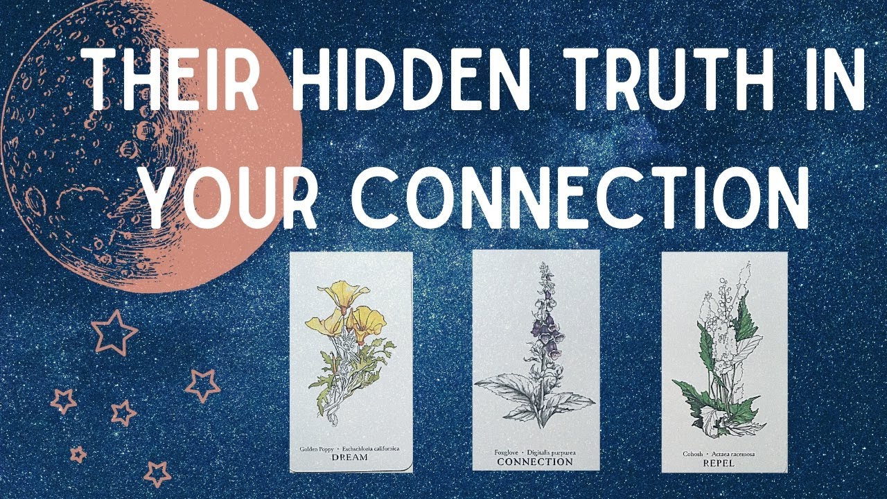 PICK A CARD: THEIR HIDDEN TRUTH IN YOUR CONNECTION