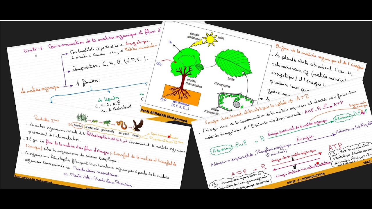 1-Consommation de la matière organique: Introduction. Matière organique-Métabolisme-ATP