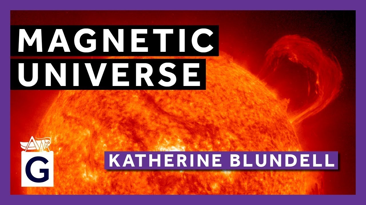 Magnetic Universe