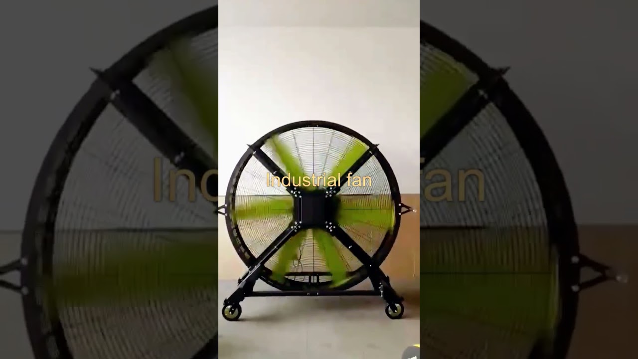 Industrial fan #industrialfan #gymfan#commercialfan #workshopfan