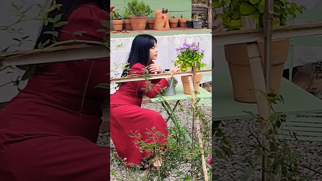 #shortvideo #ครูสายรุ้ง #thailand