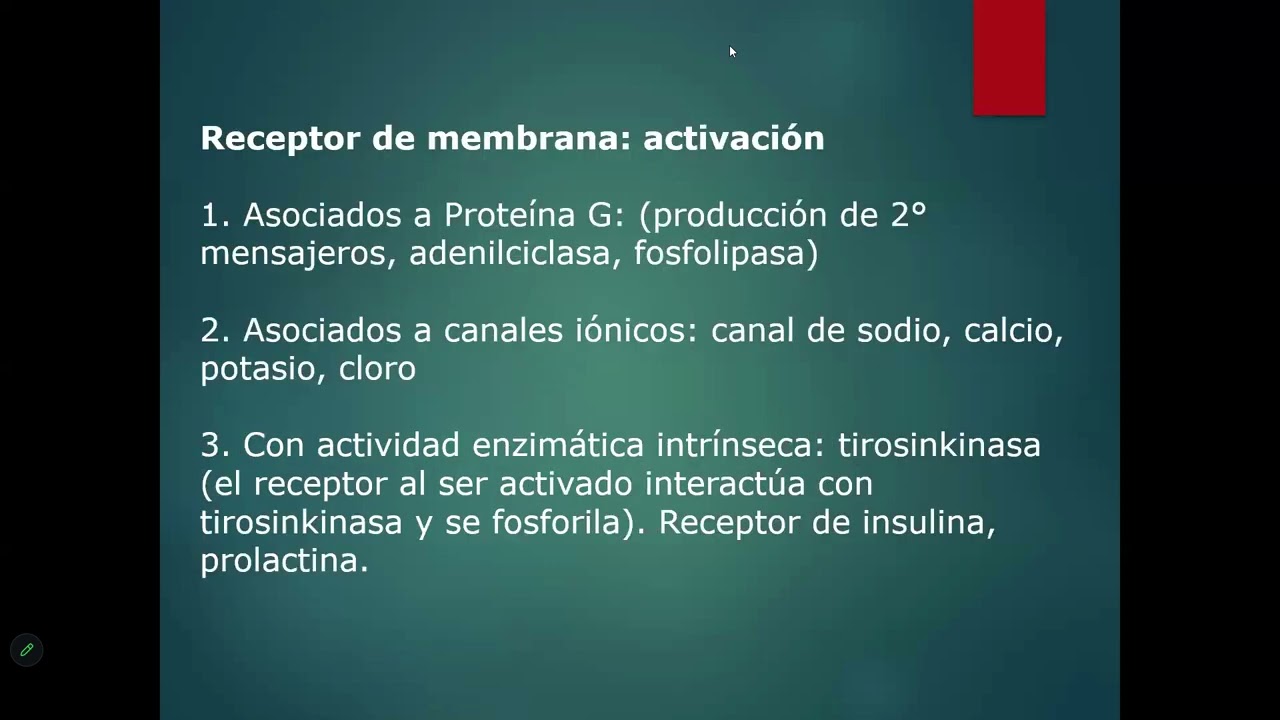 Farmacodinamia