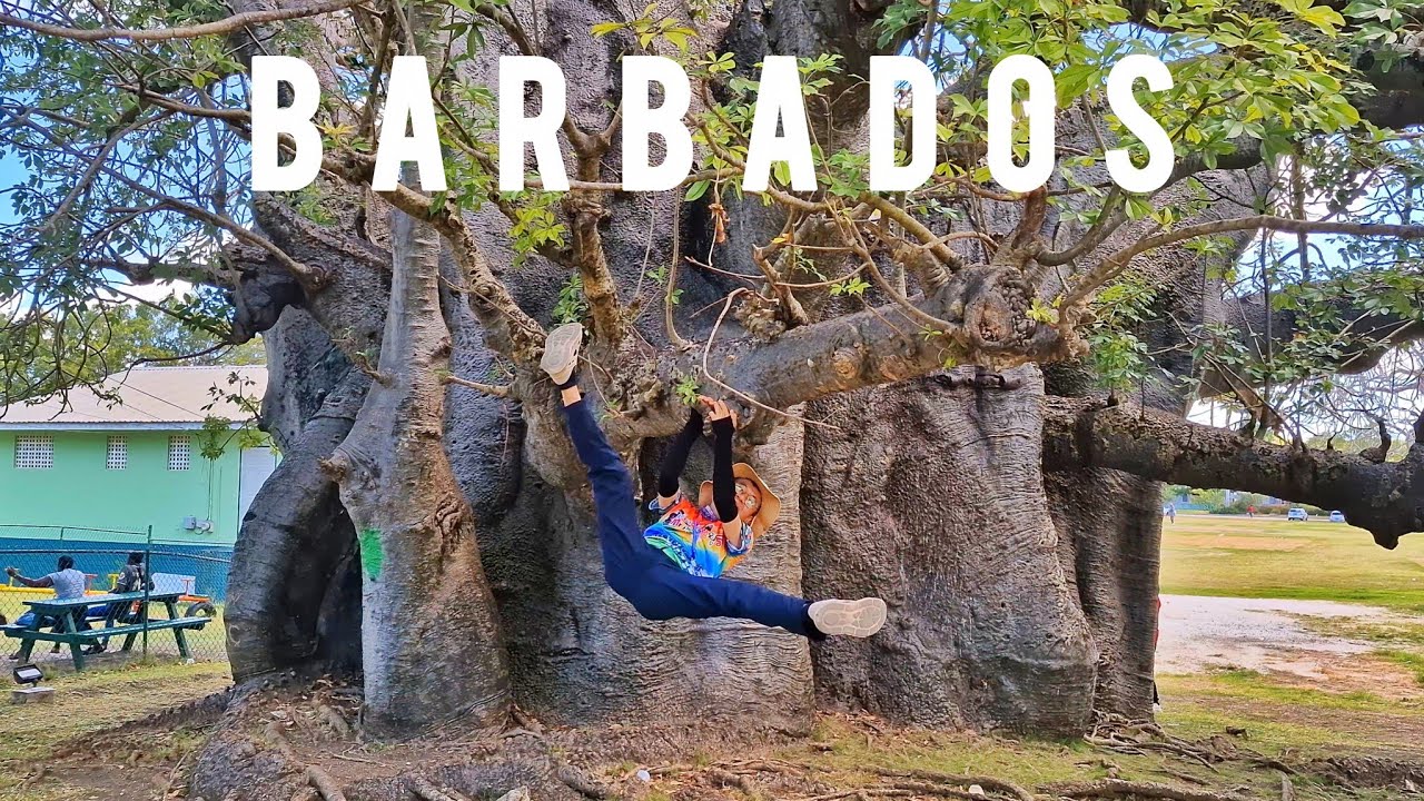 BARBADOS # Bridgetown# Parliament# Broadwalk# George washington house#Garrison tunnel# หมอธงตะลุยโลด