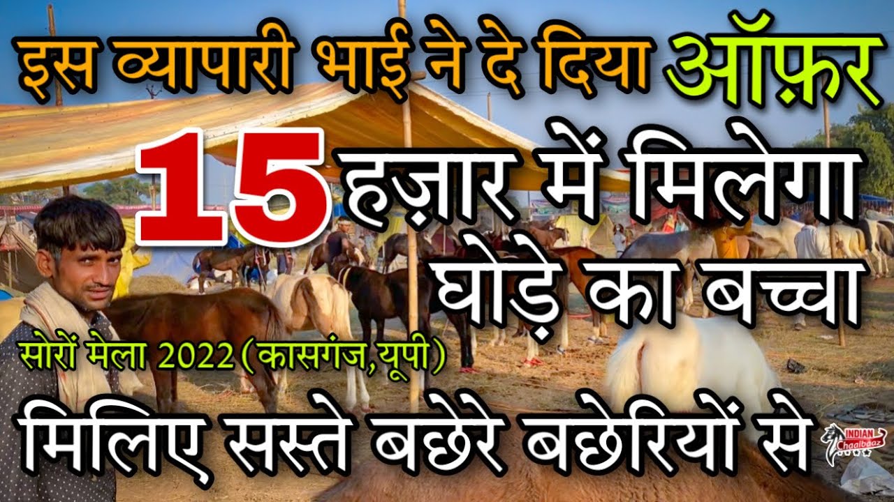 इस व्यापारी भाई ने दे दिया ऑफ़र 15 हज़ार में मिलेगा घोड़े का बच्चा Soron Mela 2022 (Kasganj,UP)