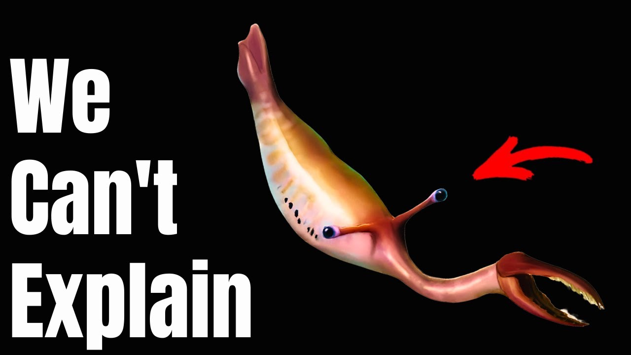 Why the Strangest Fossils Defy Science – And What They Reveal About Prehistoric Life