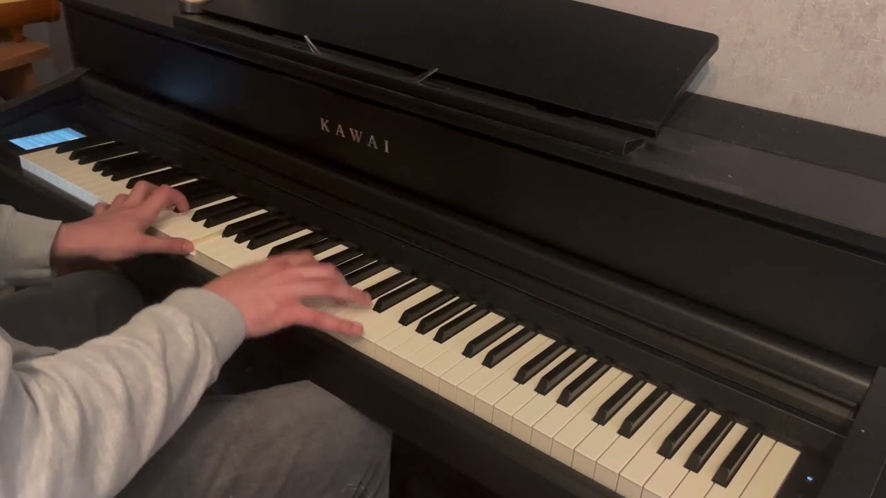 Reinhard Mey - Nein, meine Söhne geb ich nicht- Piano Cover
