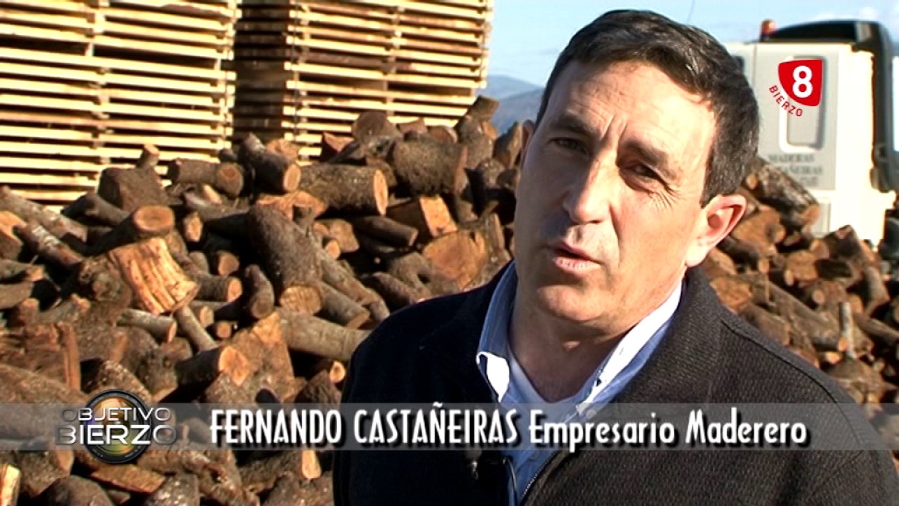 OBJETIVO BIERZO - Eucalípto Nitens 