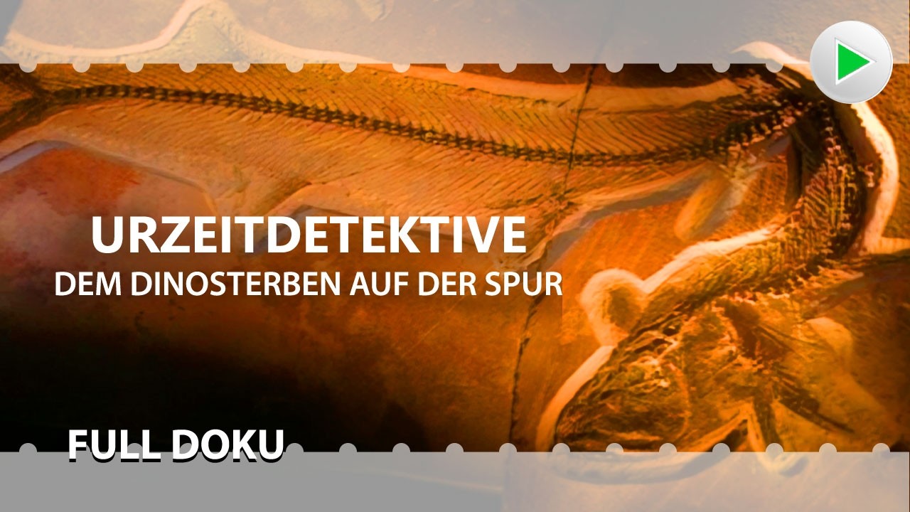 URZEITDETEKTIVE: DEM DINOSTERBEN AUF DER SPUR 🌍 HD Dokumentation deutsch 2024