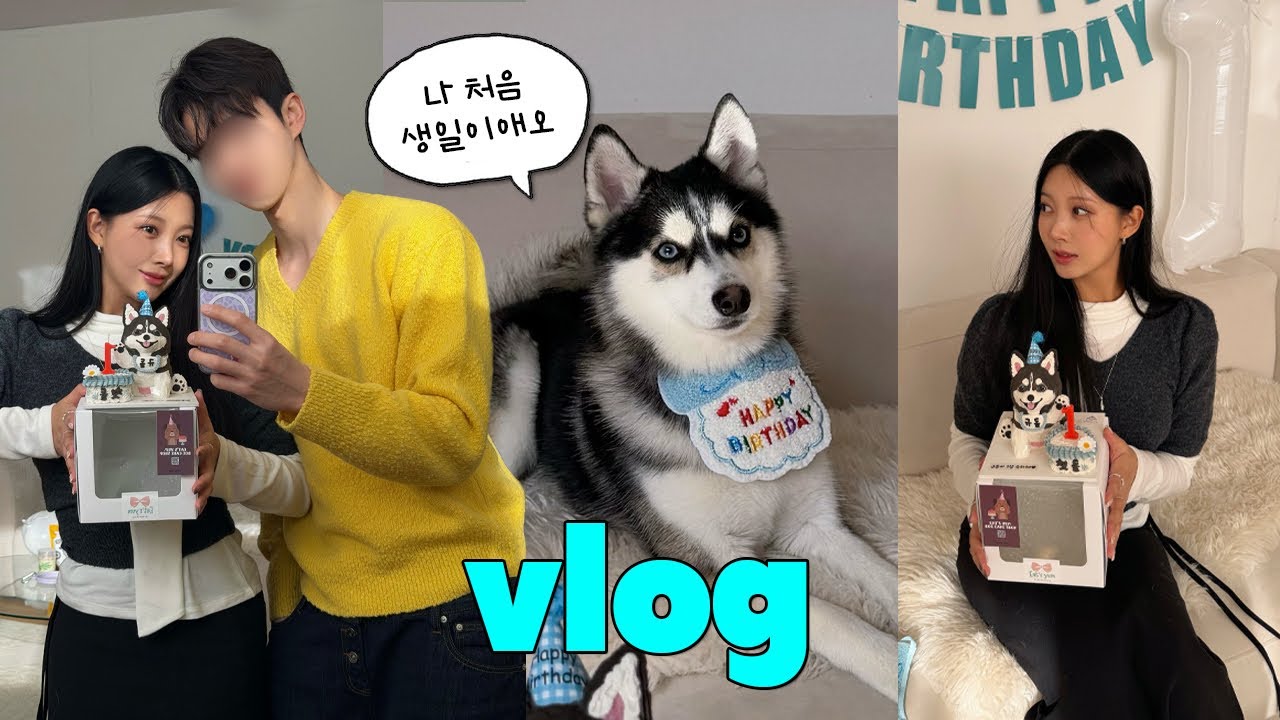 [vlog] 일상브이로그 | 데일리룩 | 규돌이 생일(첫돌)🐶🩵 + 연희동 카페 소품샵 | 강아지 생일파티 | 케이크 주문제작🎂 | new bag👜 | 데이트 · soonim