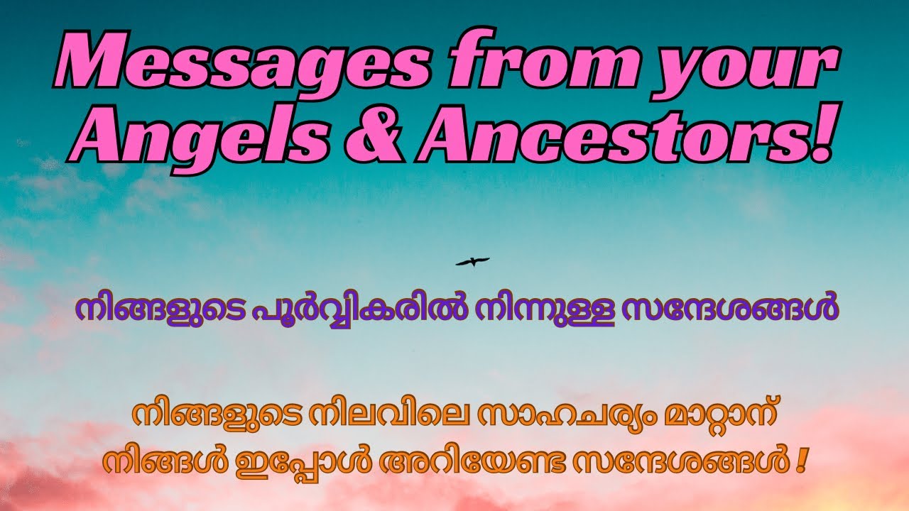 നിങ്ങളുടെ നിലവിലെ സാഹചര്യങ്ങൾ മാറ്റാൻ പൂർവ്വികരിൽ നിന്നുള്ള ഈ Divine guidance message കേൾക്കൂ🔮✨❤️
