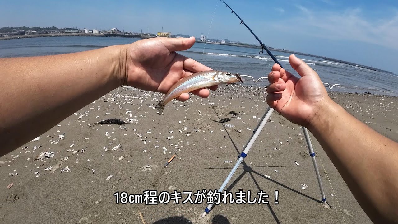 河口でキス釣り　～釣ったキスで天丼に～