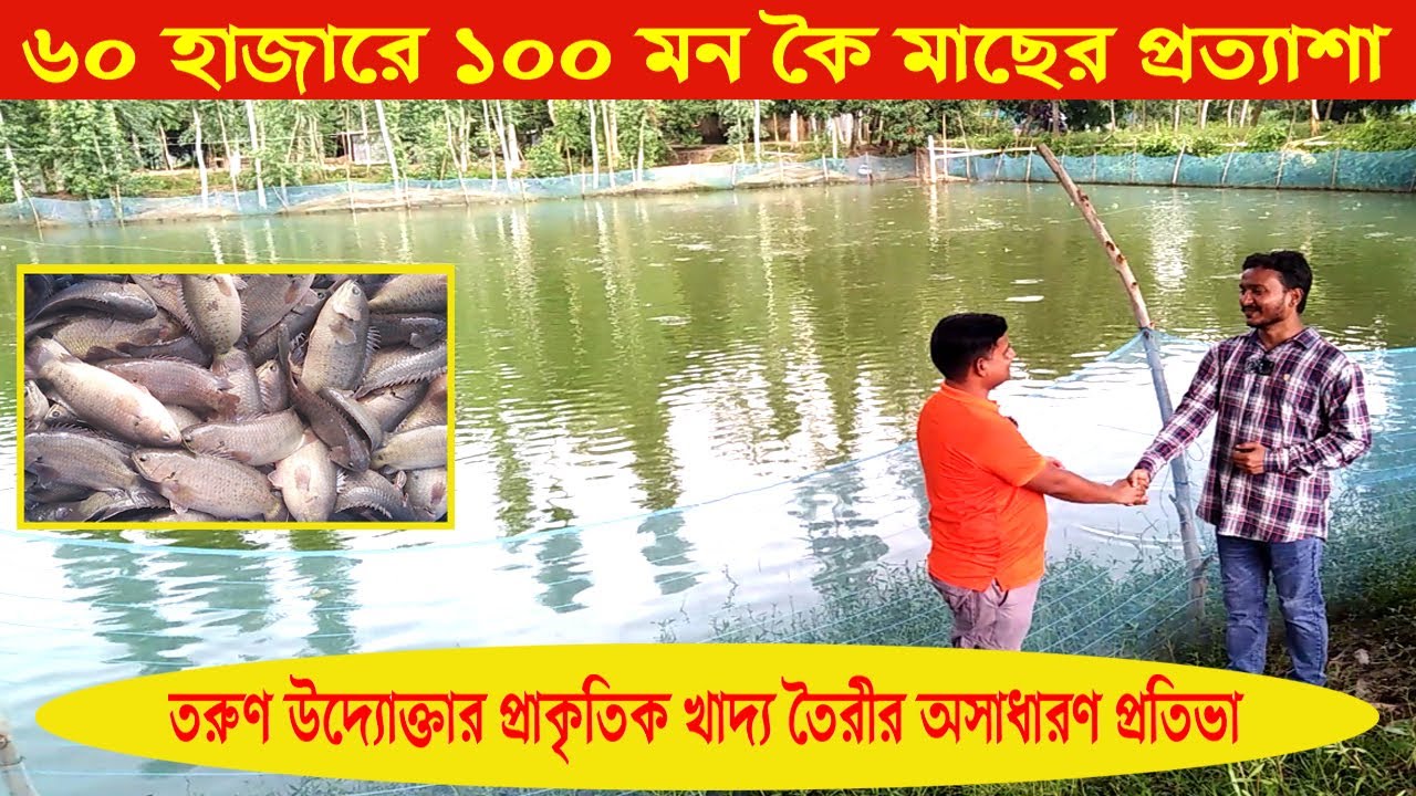 ৬০ হাজারে ১০০ মন কৈ মাছের প্রত্যাশা । তরুণ উদ্যোক্তার অভিজ্ঞতা দেখুন... ।। Swadesh BD ।।