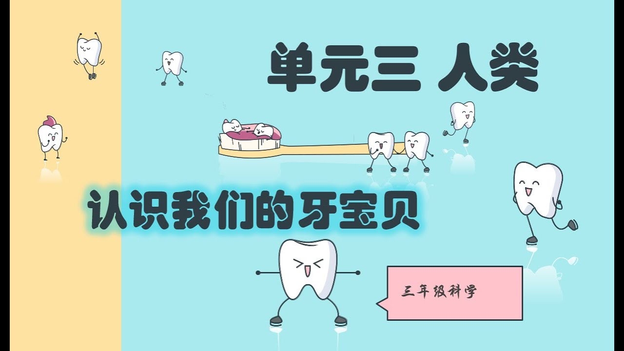 3年级 || 科学 || 单元三 || 牙齿