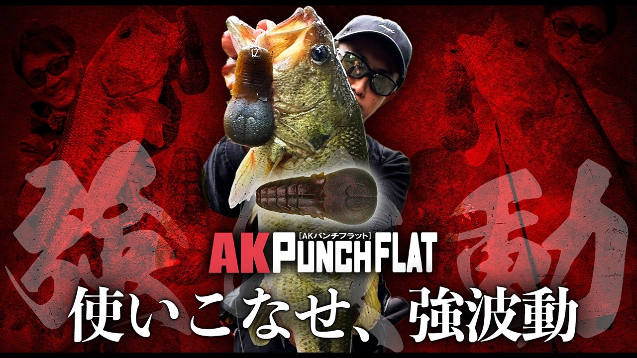 【バス釣り】AKパンチ フラット：オススメリグを実釣/解説【赤松健】