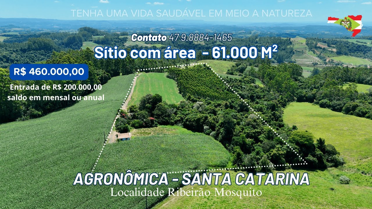 Sítio com 61.000 m² (6.1 Hectares) com área de plantio em Agronômica\SC